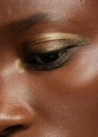 Lion Look Crayon pour les yeux Lion Look